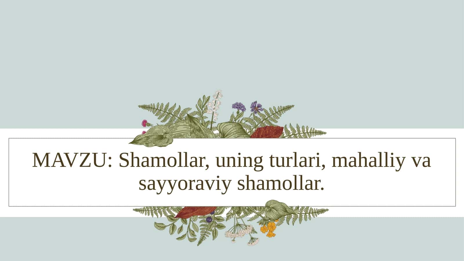 Shamollar, uning turlari, mahalliy va sayyoraviy shamollar 1
