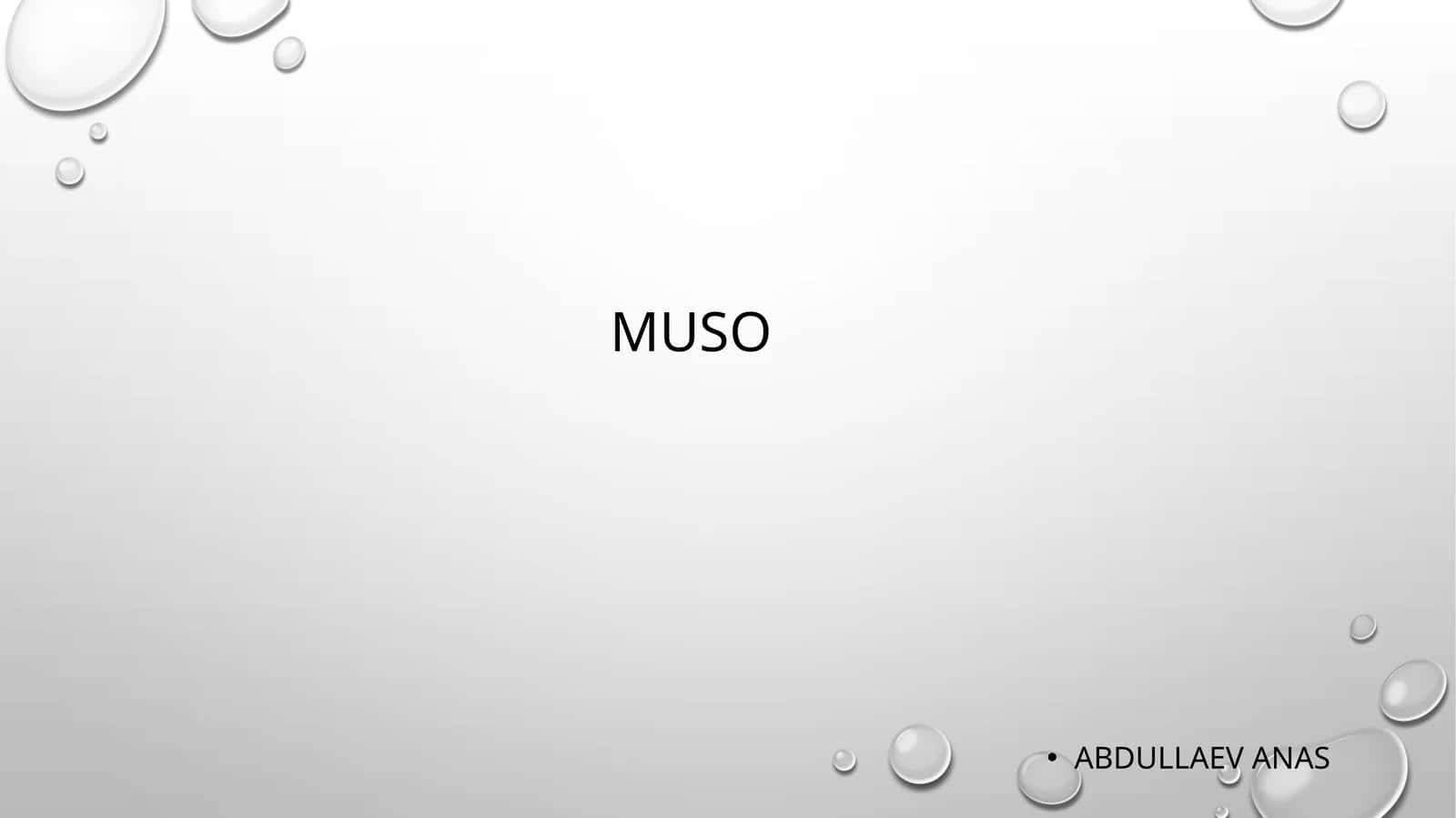 Muso 1