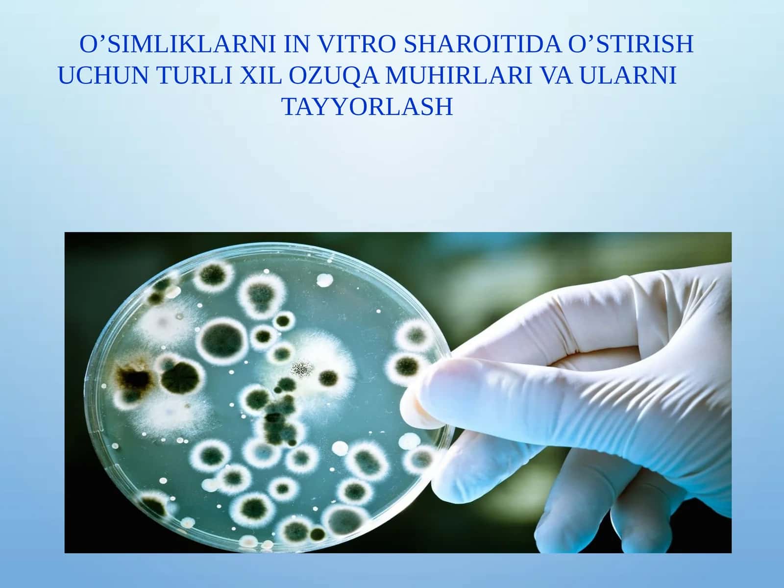O’SIMLIKLARNI IN VITRO SHAROITIDA O’STIRISH UCHUN TURLI XIL OZUQA MUHIRLARI VA ULARNI TAYYORLASH 1