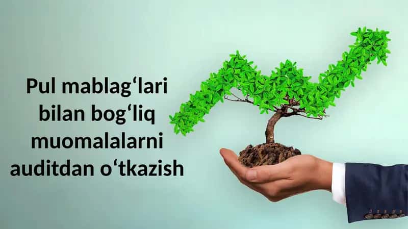 Pul mablag‘lari bilan bog‘liq muomalalarni auditdan o‘tkazish 1