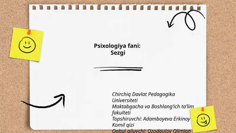 Sezgi 1