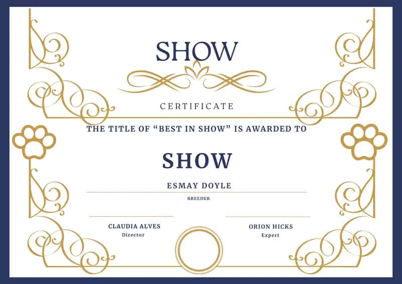 Best in Show Certificate 1