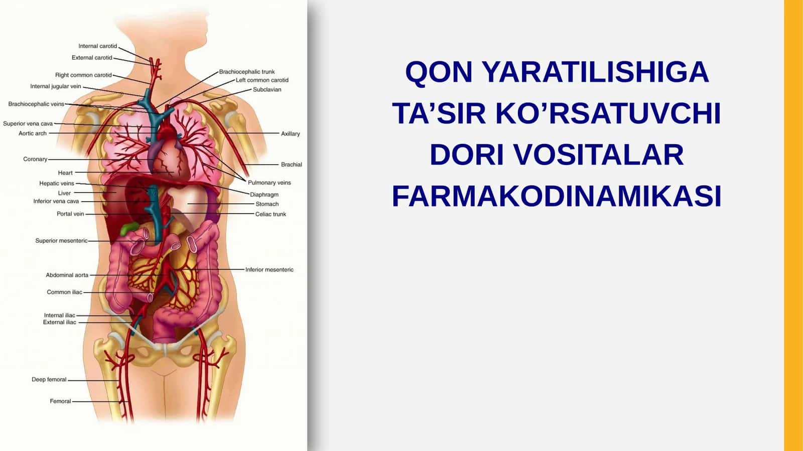 GЕMOPOEZGA TA'SIR ETUVCHI VOSITALAR 1