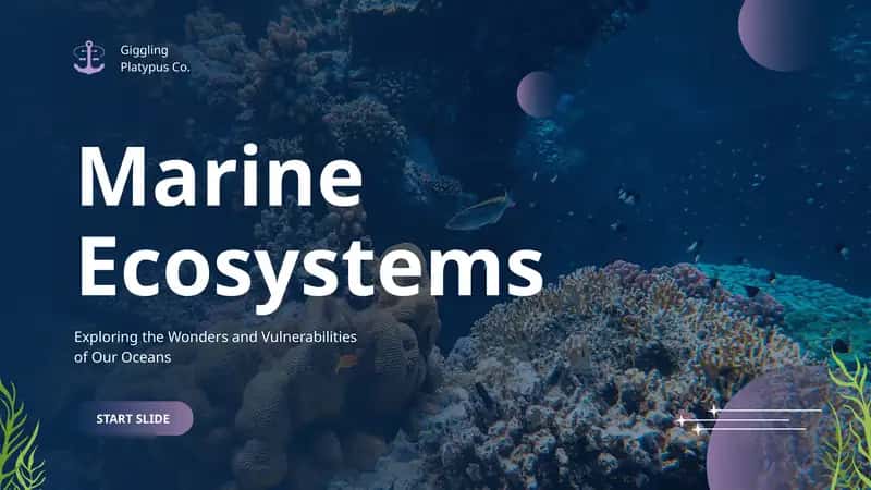 Marine Ecosystems 1