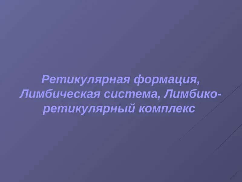 Ретикулярная формация 1