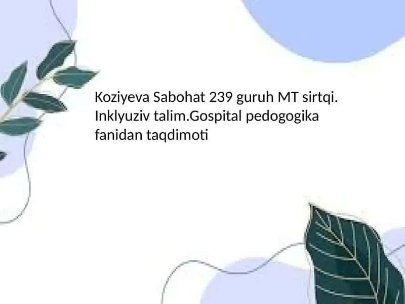 Inklyuziv ta'lim va alohida yordamga muhtoj bolalar 1