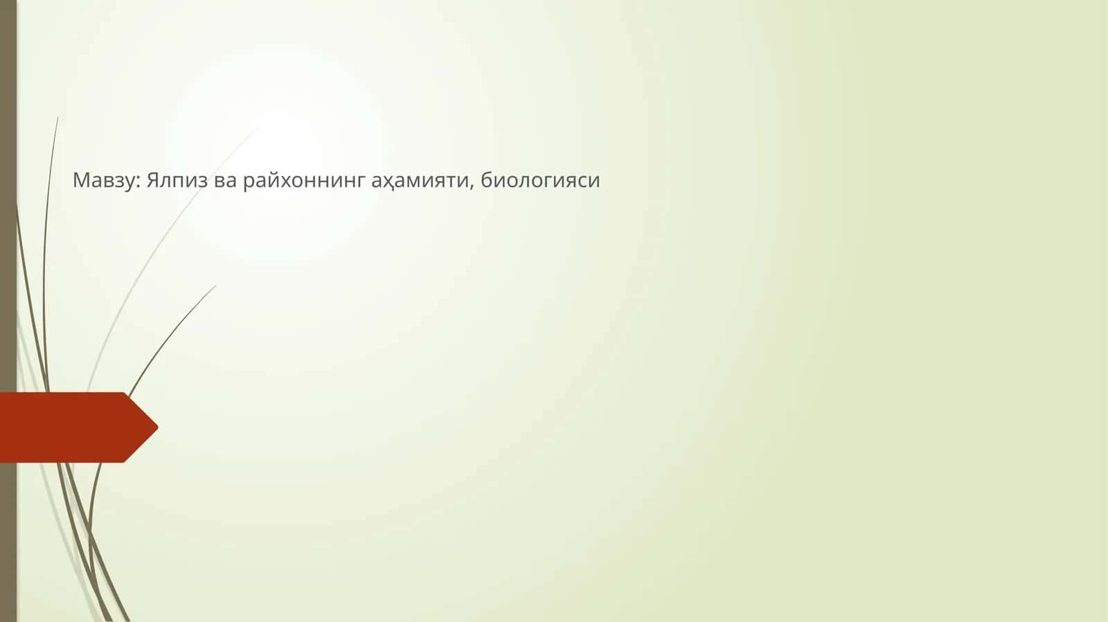 Ялпиз ва райхоннинг аҳамияти, биологияси 1