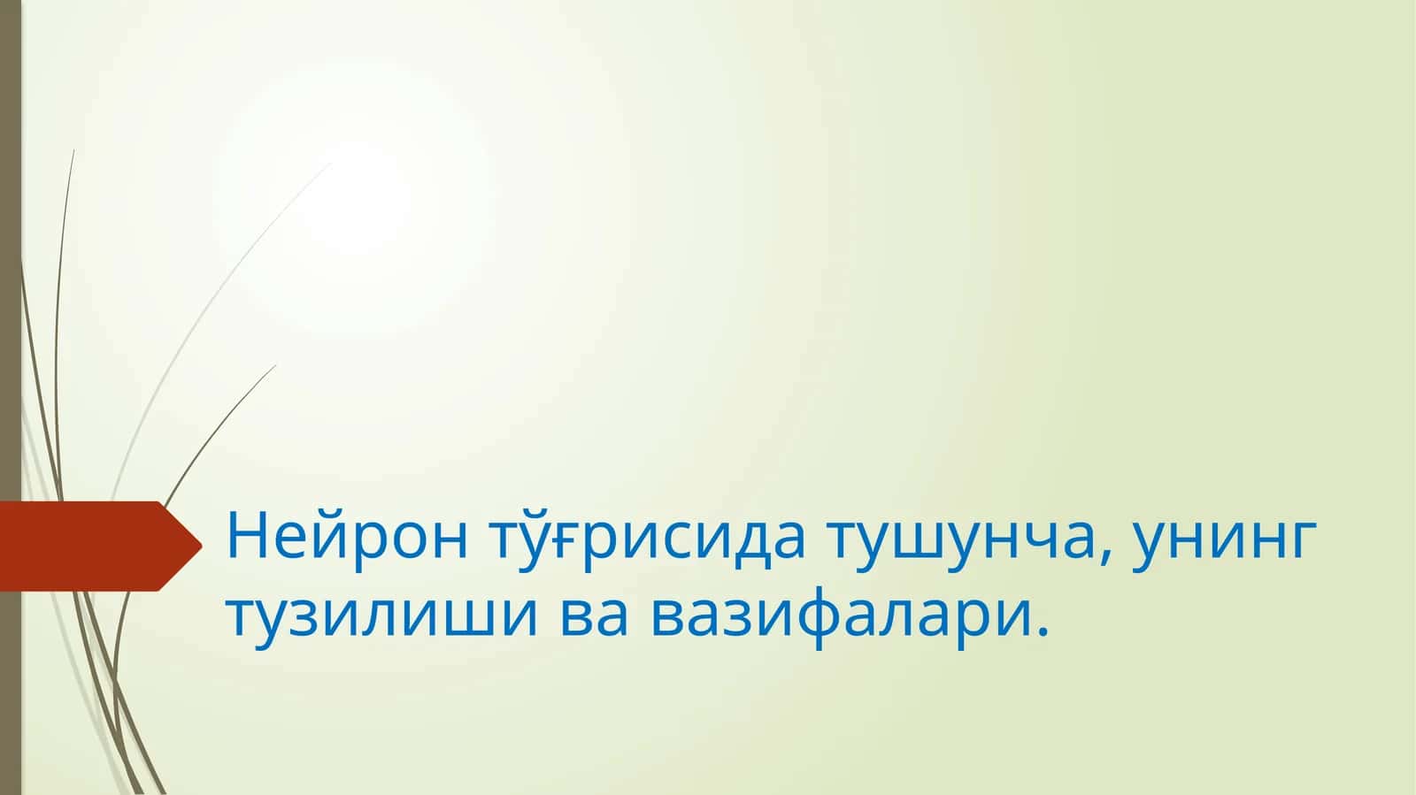 Нейрон тўғрисида тушунча, унинг тузилишива вазифалари 1