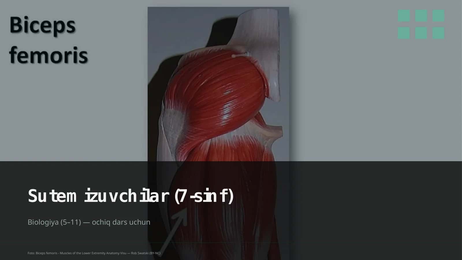 Biologiya (5–11) — ochiq dars uchun 1