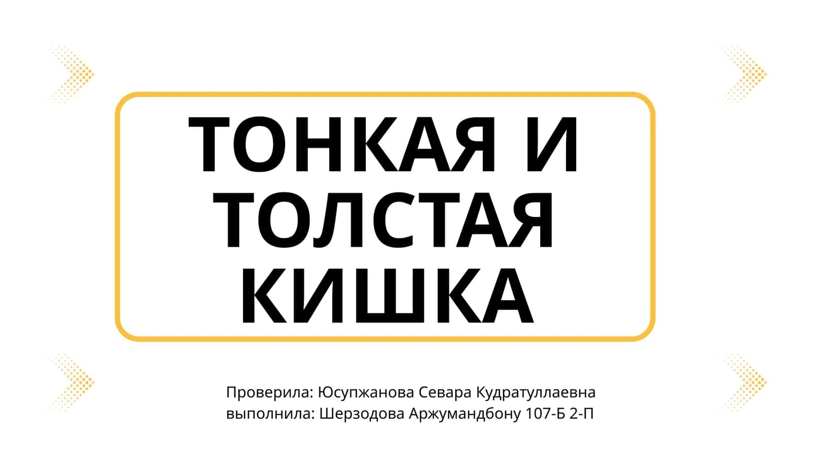Тонкая и толстая кишка 1