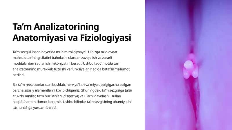 Ta’m Analizatorining Anatomiyasi va Fiziologiyasi 1