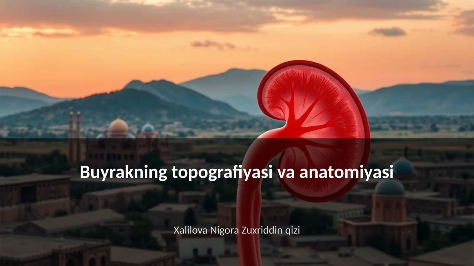 Buyrakning topografiyasi va anatomiyasi 1
