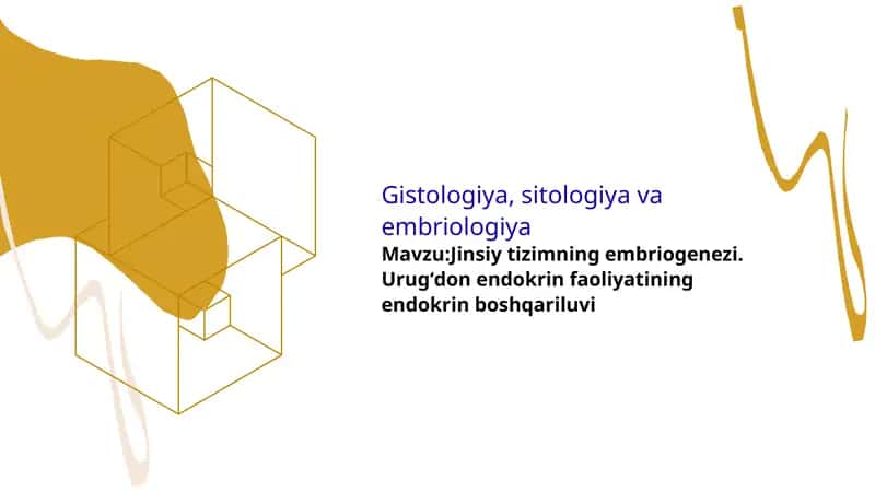 Gistologiya: Jinsiy tizimning embriogenezi 1
