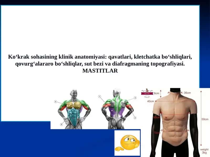 Ko‘krak sohasining klinik anatomiyasi: qavatlari, kletchatka bo‘shliqlari, qovurg‘alararo bo‘shliqlar, sut bezi va diafragmaning topografiyasi.MASTITLAR 1