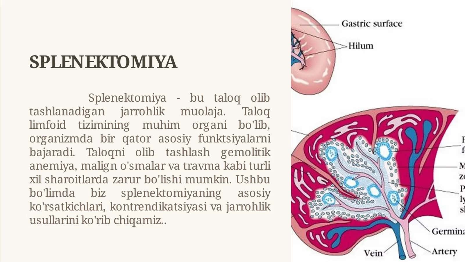 SPLENEKTOMIYA 1