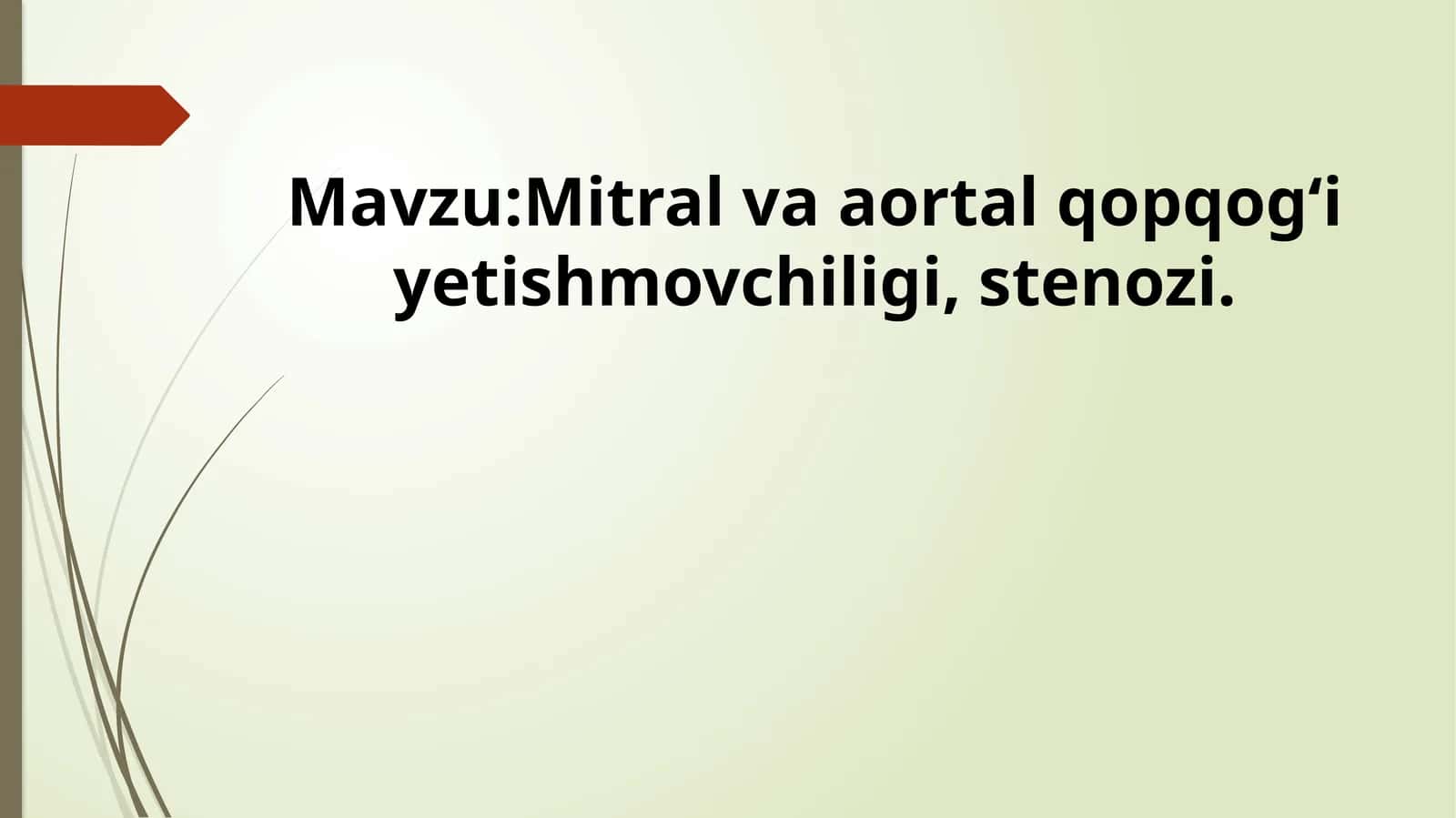 Mitral va aortal qopqog‘i yetishmovchiligi, stenozi. 1