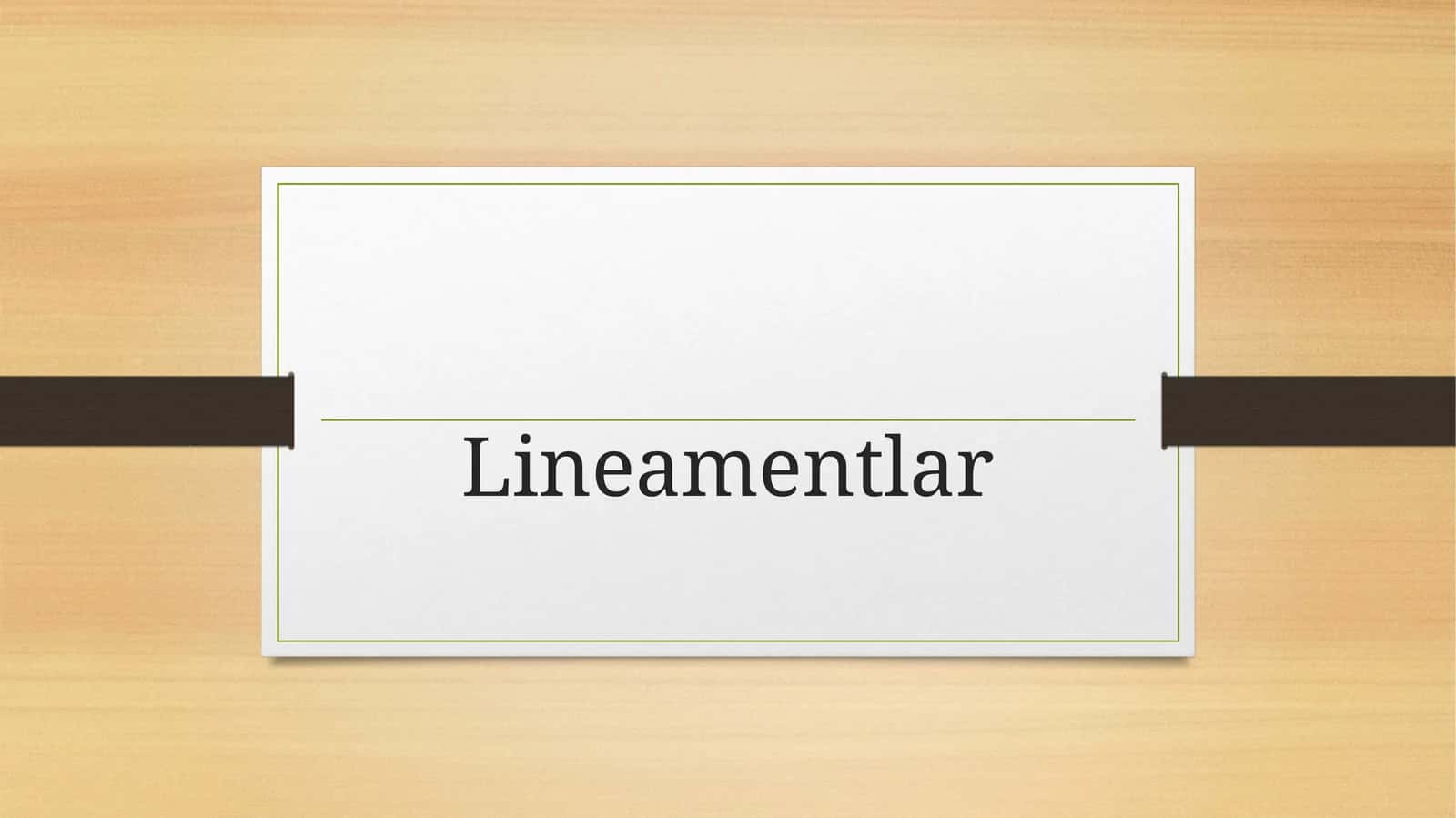 Lineamentlar 1