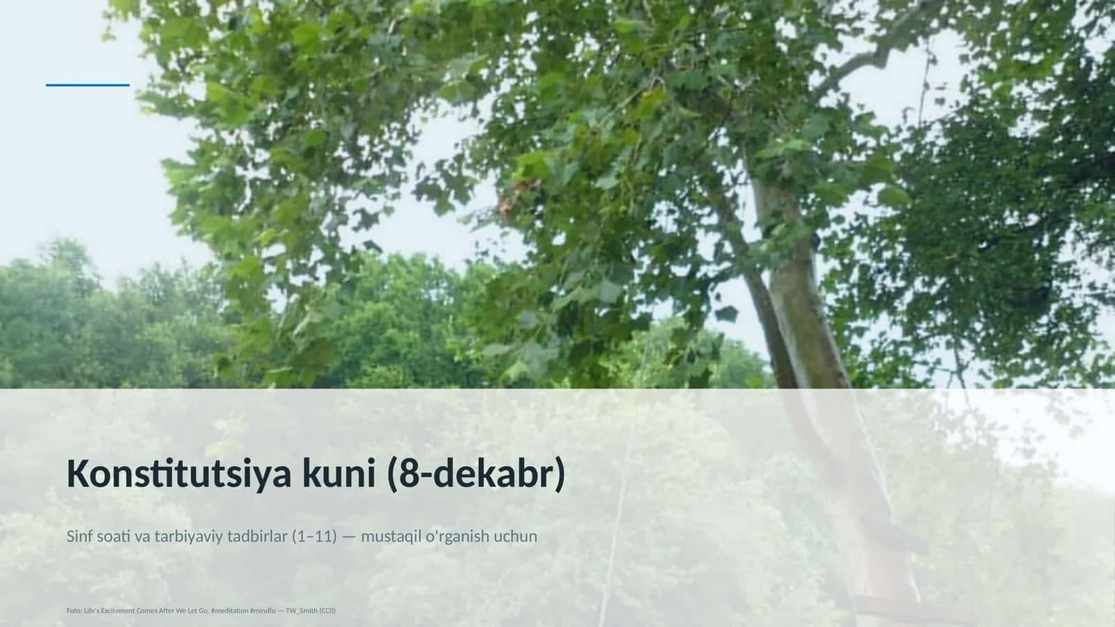 Dars rejasi 1