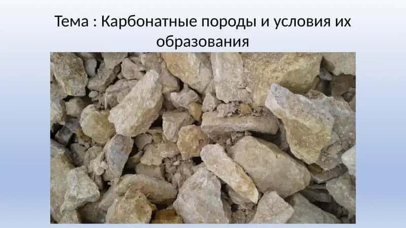 Карбонатные породы и условия их образования 1