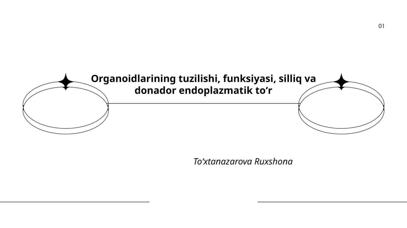 Organoidlarining tuzilishi, funksiyasi, silliq va donador endoplazmatik toʻr 1