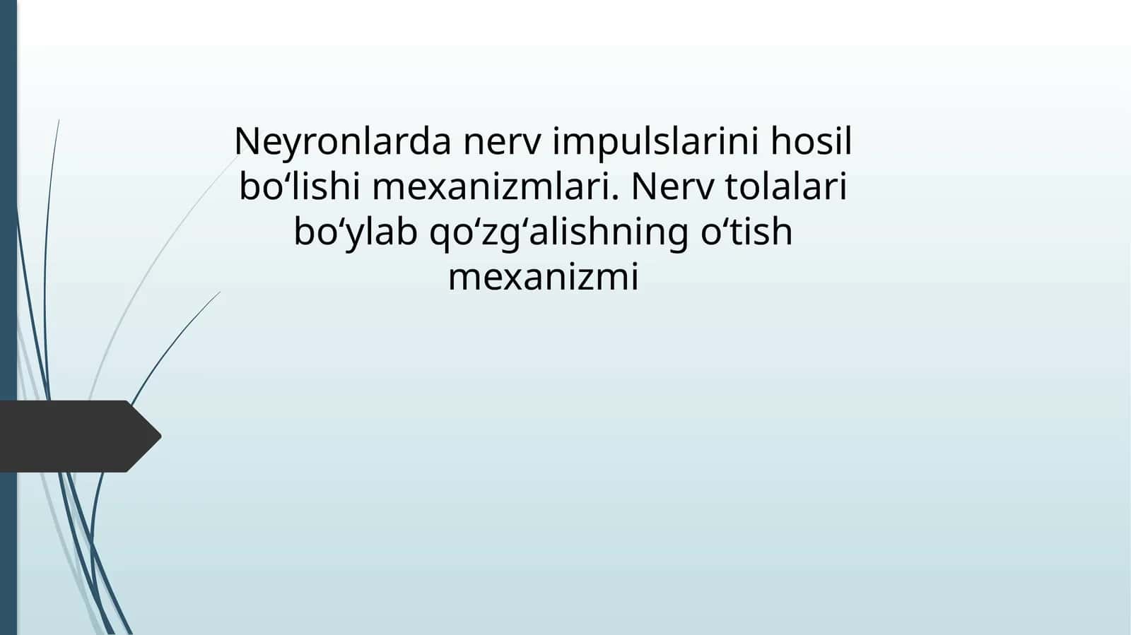 Neyronlarda_nerv_impulslarini_hosil_boʻlishi_mexanizmlari_Nerv_tolalari 1