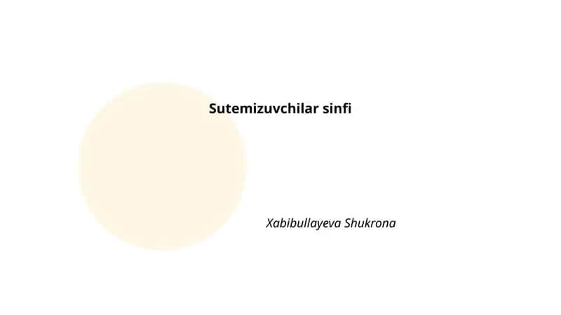 Sutemizuvchilar sinfi 1