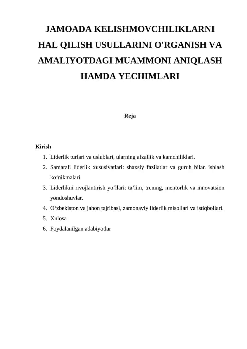 Liderlik 1