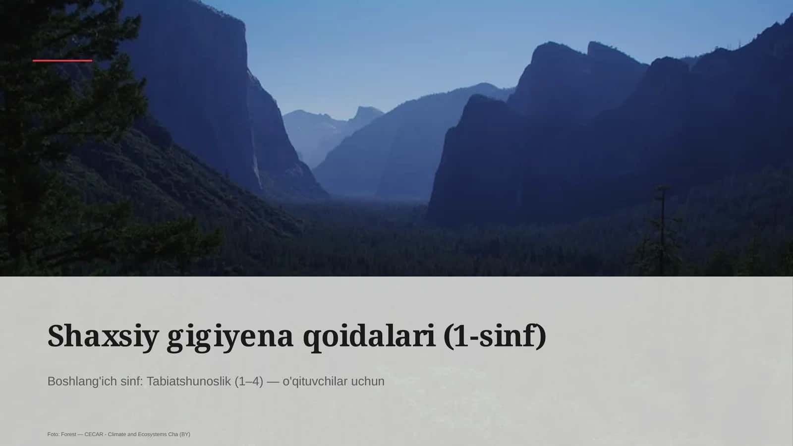 Shaxsiy gigiyena qoidalari (1-sinf) 1