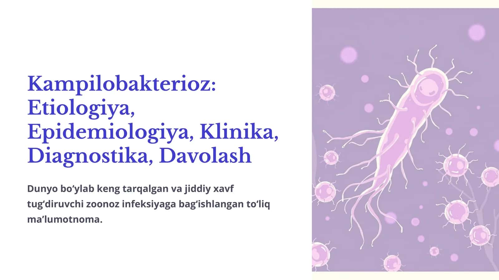 Kampilobakterioz: Etiologiya, Epidemiologiya, Klinika, Diagnostika, Davolash 1