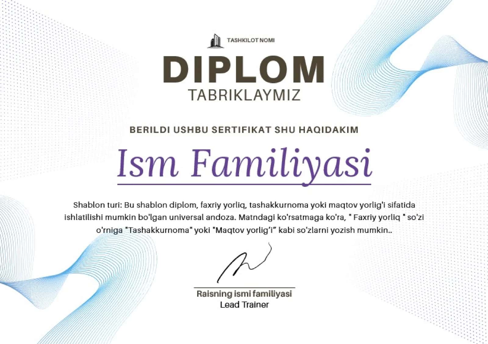 DIPLOM 1