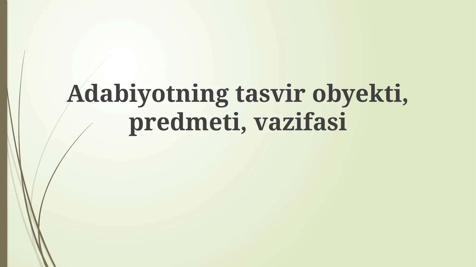 Adabiy Tasvirning Mohiyati: Obyekt, Subyekt va Funksiya 1