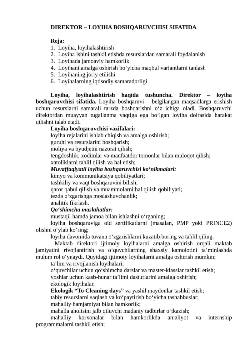 Direktor – loyiha boshqaruvchisi sifatida 1