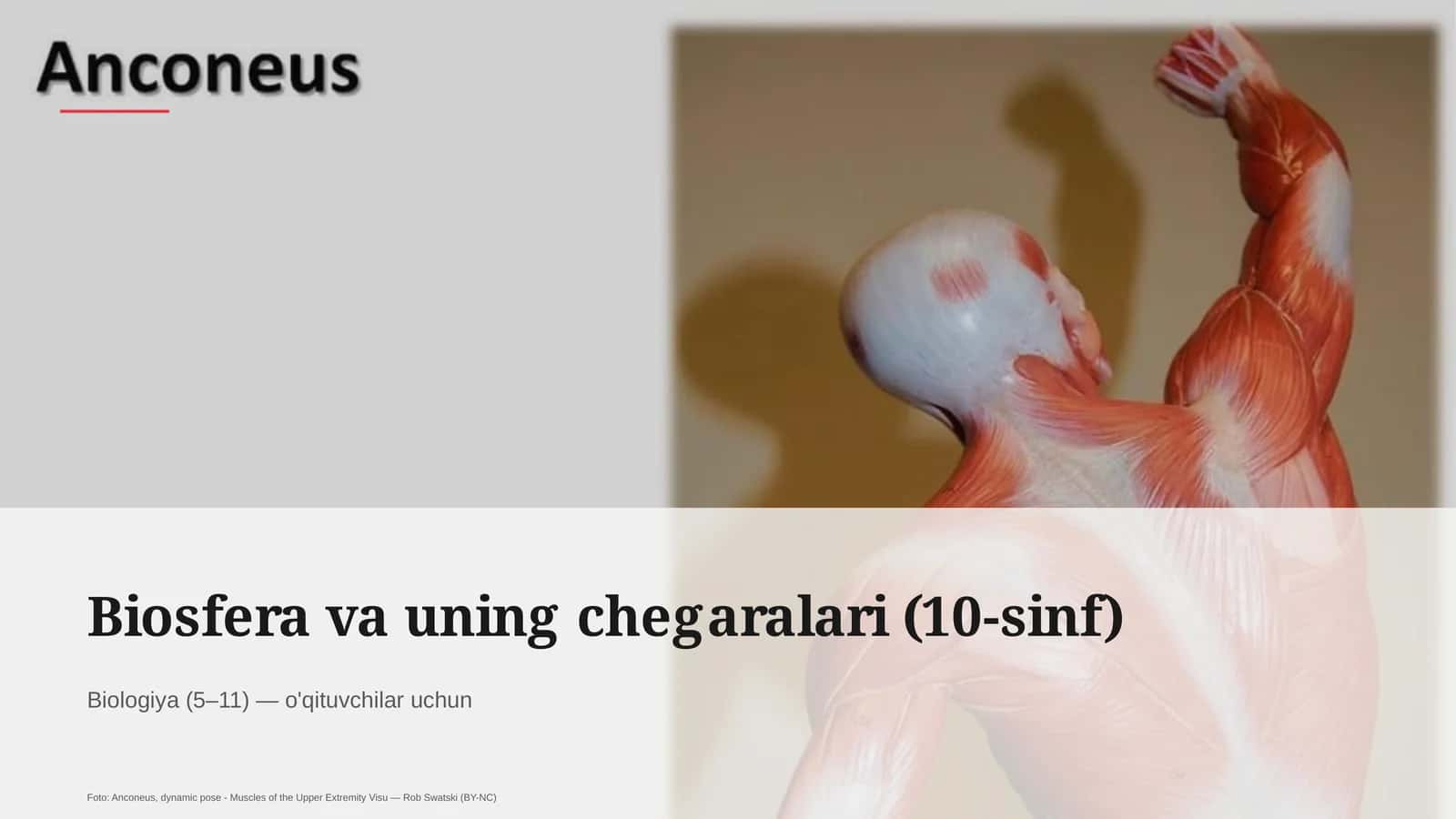 Biosfera va uning chegaralari (10-sinf) 1
