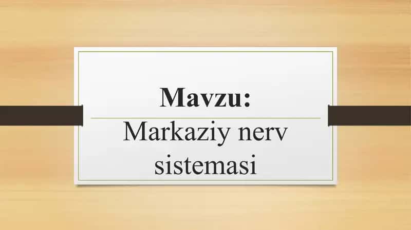 Markaziy nerv sistemasi 1