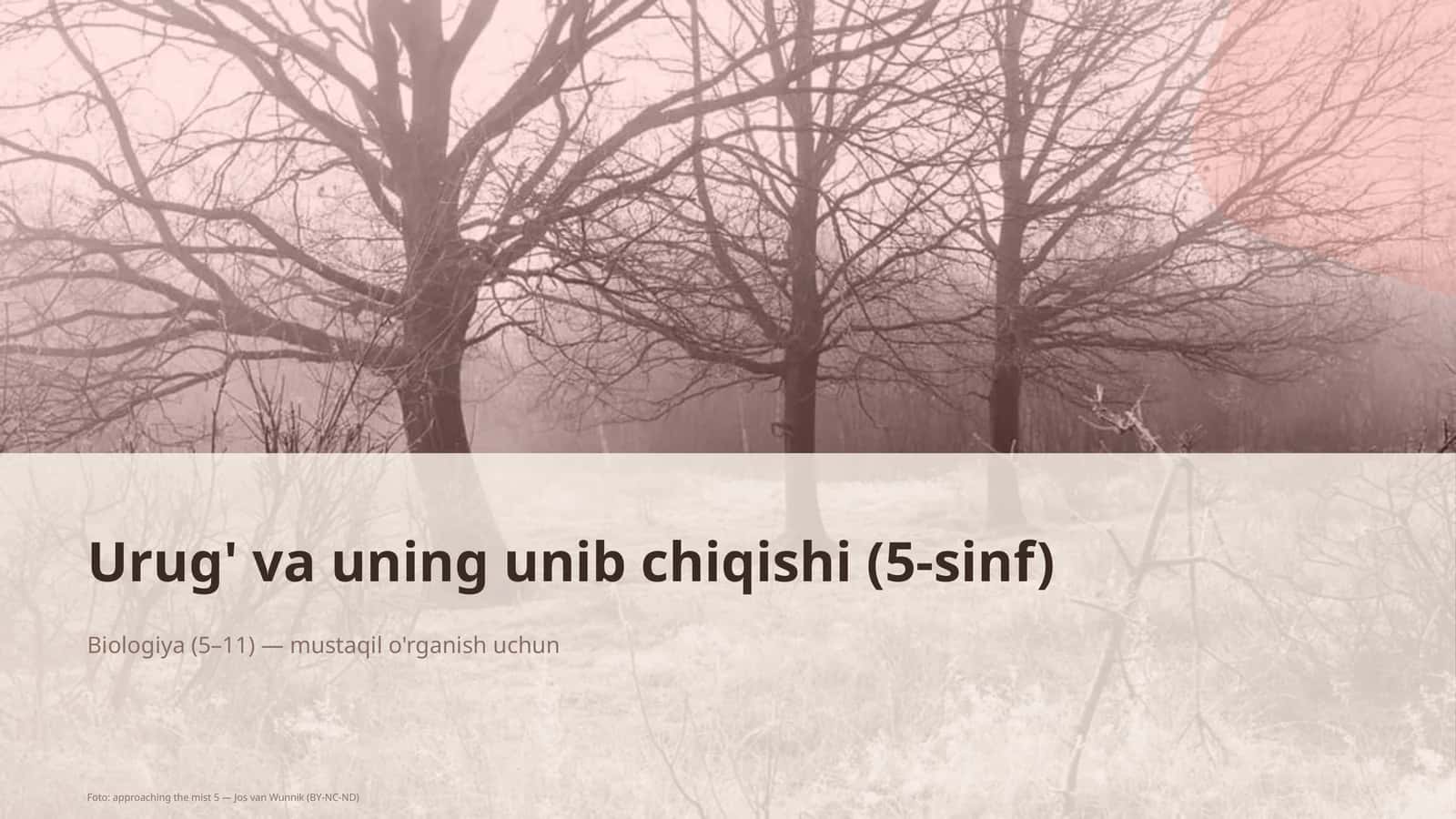 Urug' va uning unib chiqishi (5-sinf) 1