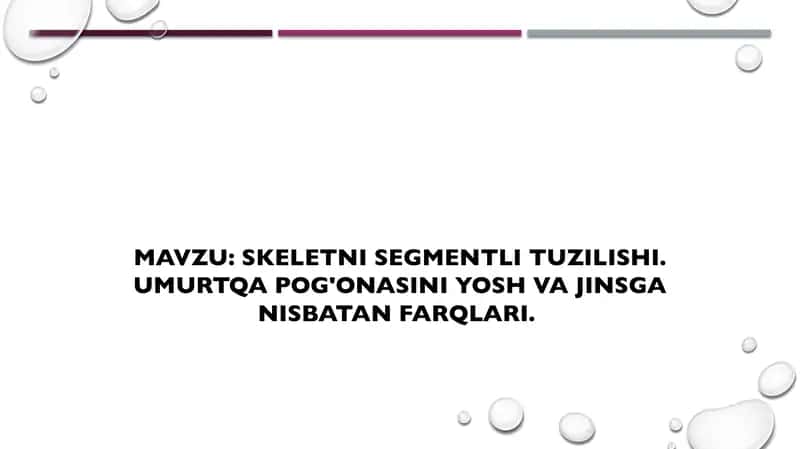 Skeletni segmentli tuzilishi. Umurtqa pog'onasini yosh va jinsga nisbatan farqlari. 1