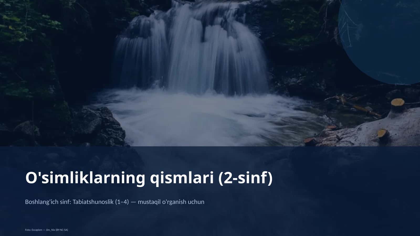 O'simliklarning qismlari (2-sinf) 1