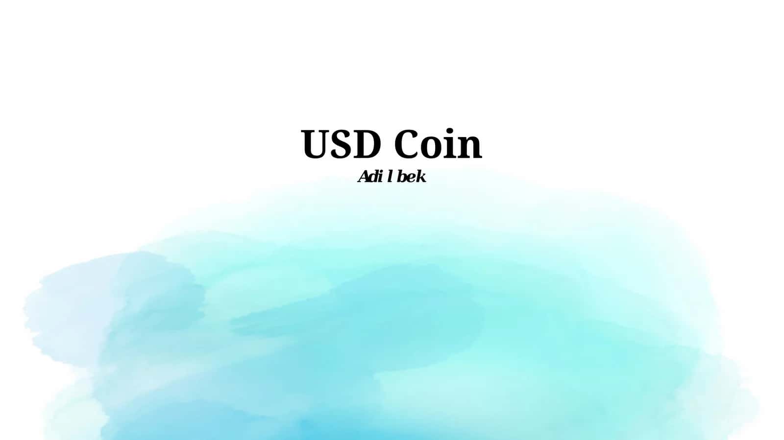 USD Coin 1