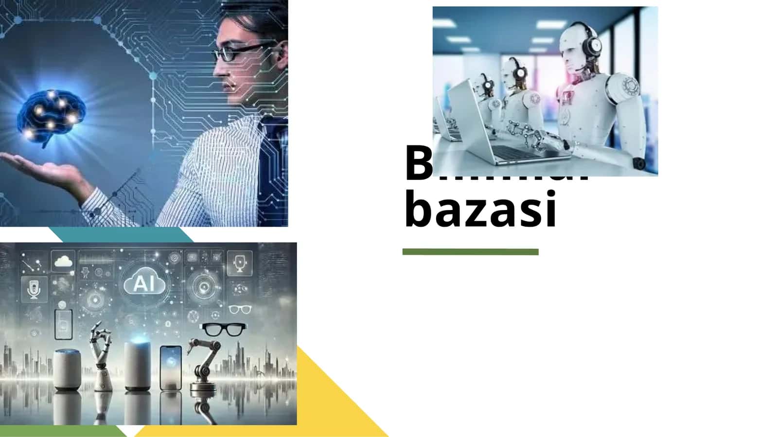Bilimlar bazasi 1
