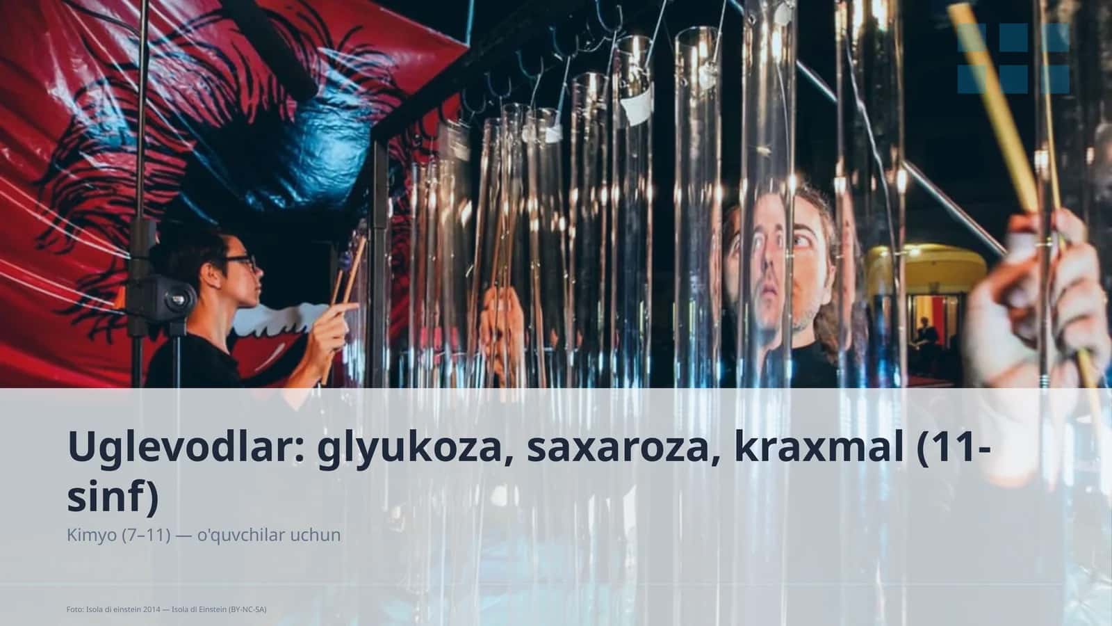 Uglevodlar: glyukoza, saxaroza, kraxmal (11-sinf) 1