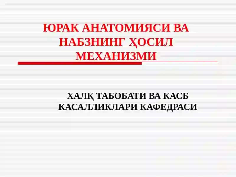 ЮРАК АНАТОМИЯСИ ВА НАБЗНИНГҲОСИЛМЕХАНИЗМИ
