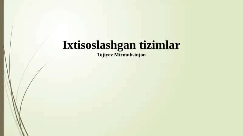 Ixtisoslashgan tizimlar 1
