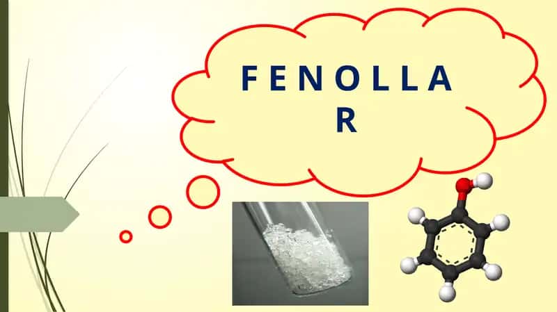 Fenollar 1