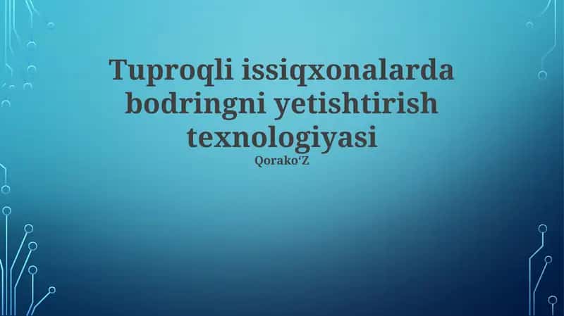 Tuproqli issiqxonalarda bodringni yetishtirish texnologiyasi 1