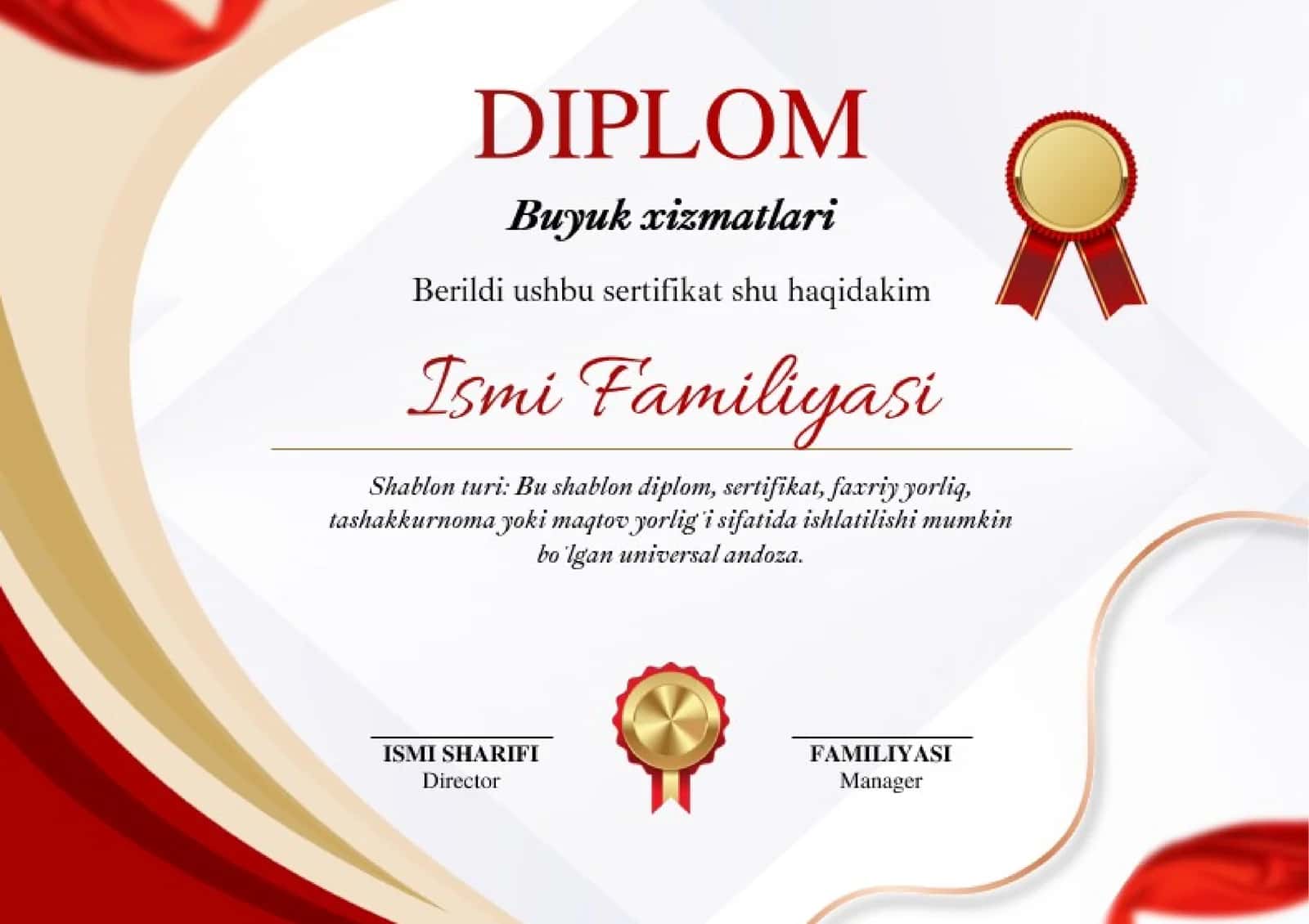 DIPLOM 1
