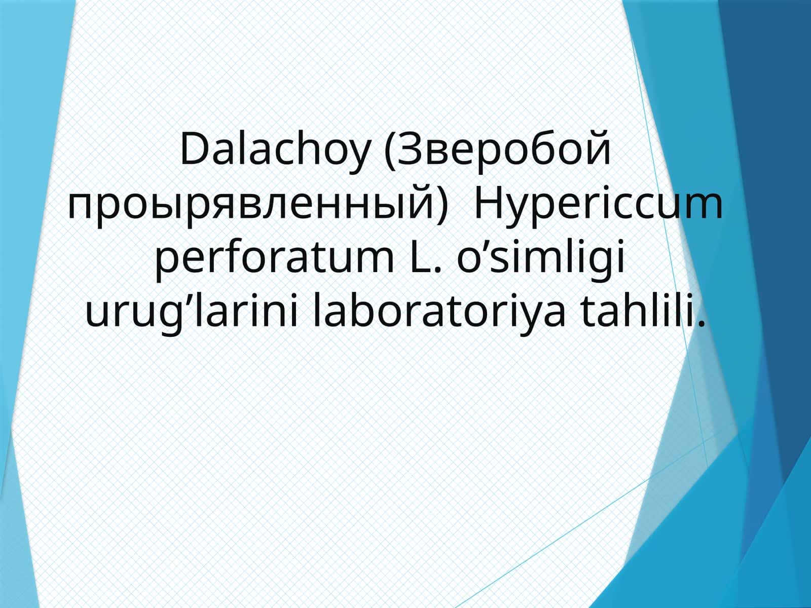 Dalachoy(Зверобойпроырявленный) 1