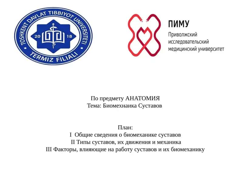 Биомехнаика Суставов 1