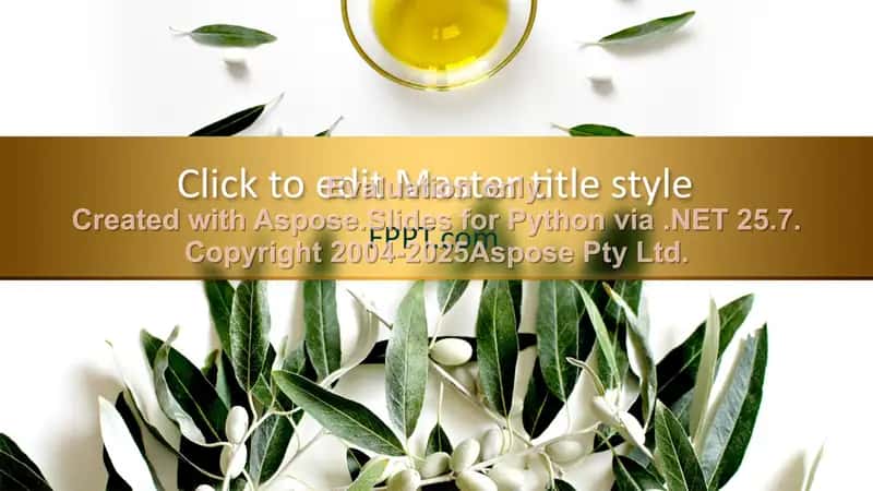 Presentation Design Templates 1