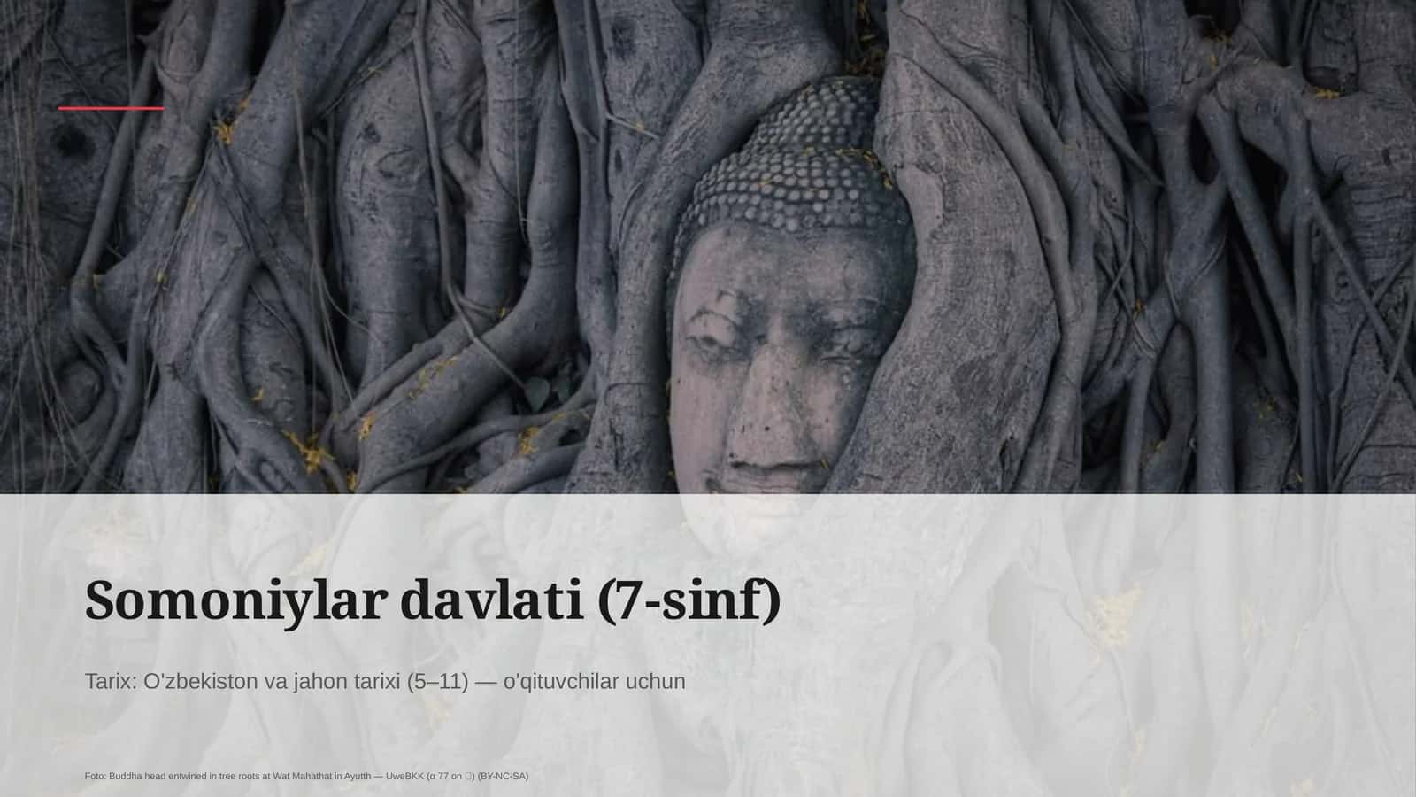 Somoniylar davlati (7-sinf) 1