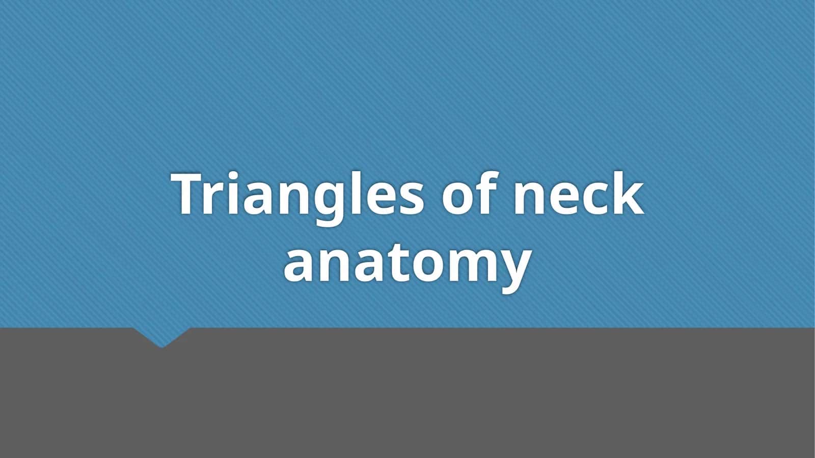 Triangles of neck anatomy 1